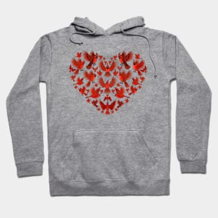 Red Cardinal bird heart love you Hoodie